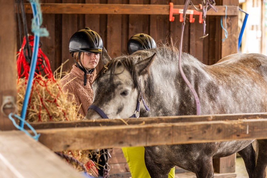 Horse and Game-1029.jpg