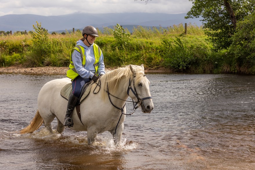 Horse and Game-1110.jpg